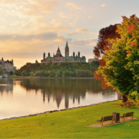 Fall trees in ottawa