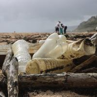 The Canadian Federal Government announced a nation-wide ban on single-use plastics to take effect as early as 2021!