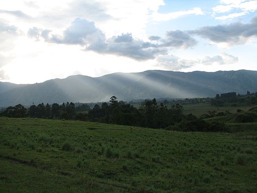 Rwenzori Mountain Range, Uganda