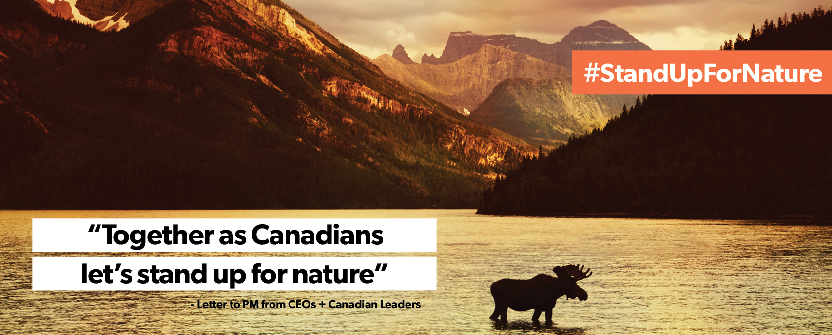 Together as Canadians, let's stand up for nature.